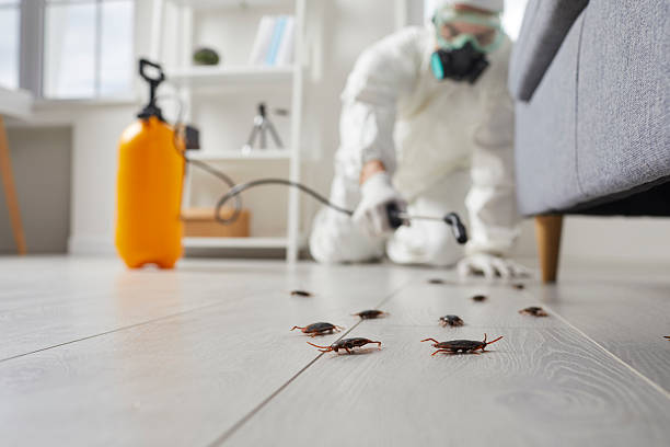 Commercial Kitchen Cockroach Control in Kimball